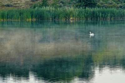 <i class='fa fa-user'></i>&nbsp;hesterb&nbsp;|  Mist in duinmeer&nbsp; <i class='fa fa-eye'>&nbsp;74</i> &nbsp;<i class='fa fa-thumbs-up'>&nbsp;1</i> &nbsp; <i class='fa fa-comment-o'>&nbsp;2</i>