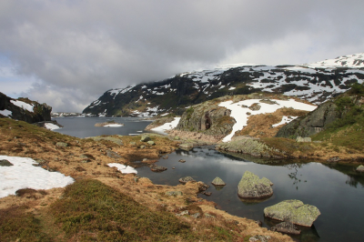 <i class='fa fa-user'></i>&nbsp;Tineke Strijbosch&nbsp;|  Ryfylke&nbsp; <i class='fa fa-eye'>&nbsp;90</i> &nbsp;<i class='fa fa-thumbs-up'>&nbsp;5</i> &nbsp; <i class='fa fa-comment-o'>&nbsp;7</i>