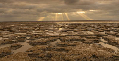 De gehele dag een nagenoeg gesloten wolkendek. Zo ook als ik 's avonds tegen 19:00 uur aankom in Wierum. De stevige noordwesten wind stuwt het water op waardoor het wad langzaam droogvalt. Af en toe verschijnen er zonneladders. Toch op zoek naar een plekje op het wad dichtbij de kleiplaten en geulen.