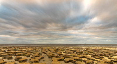 De hele dag een gesloten wolkendek. Toch maar naar Wierum gereden. Het wolkendek bleef grotendeels van de tijd aaneengesloten. Na een plek nabij de kleiplaten en de geulen op het Wad gevonden te hebben toch maar foto's gemaakt.