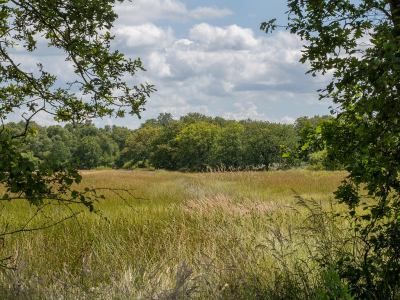 <i class='fa fa-user'></i>&nbsp;Tim Oord&nbsp;|  "Doorkijkje"&nbsp; <i class='fa fa-eye'>&nbsp;54</i> &nbsp; <i class='fa fa-comment-o'>&nbsp;2</i>