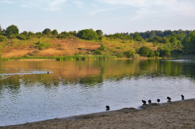 <i class='fa fa-user'></i>&nbsp;hesterb&nbsp;|  Duinmeer&nbsp; <i class='fa fa-eye'>&nbsp;61</i> &nbsp; <i class='fa fa-comment-o'>&nbsp;0</i>