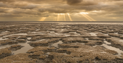 De gehele dag een nagenoeg gesloten wolkendek. Desondanks toch naar Wierum gereden. Ruim voor het gouden uur aangekomen. Door de harde noordwesten wind viel het wad langzaam droog. Uiteindelijk verder het Wad op kunnen lopen om dichter bij de kleiplaten en de geulen te komen