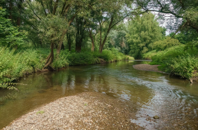 <i class='fa fa-user'></i>&nbsp;Jurgen Maassen&nbsp;|  De Worm bij Haanrade&nbsp; <i class='fa fa-eye'>&nbsp;101</i> &nbsp;<i class='fa fa-thumbs-up'>&nbsp;3</i> &nbsp; <i class='fa fa-comment-o'>&nbsp;3</i>