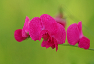 <i class='fa fa-user'></i>&nbsp;Cor&nbsp;|  Aardaker&nbsp; <i class='fa fa-eye'>&nbsp;74</i> &nbsp;<i class='fa fa-thumbs-up'>&nbsp;9</i> &nbsp; <i class='fa fa-comment-o'>&nbsp;8</i>