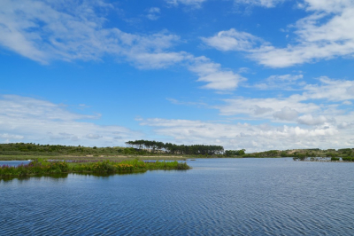 <i class='fa fa-user'></i>&nbsp;hesterb&nbsp;|  Duinmeer&nbsp; <i class='fa fa-eye'>&nbsp;58</i> &nbsp; <i class='fa fa-comment-o'>&nbsp;1</i>