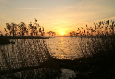 <i class='fa fa-user'></i>&nbsp;B.M.Schouten-Ruis&nbsp;|  Reeuwijkse Plas&nbsp; <i class='fa fa-eye'>&nbsp;67</i> &nbsp;<i class='fa fa-thumbs-up'>&nbsp;5</i> &nbsp; <i class='fa fa-comment-o'>&nbsp;3</i>