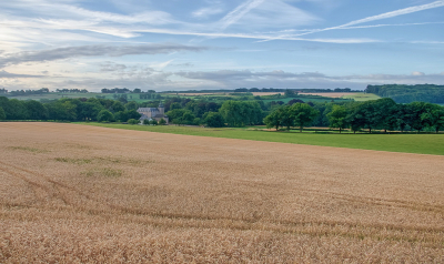 <i class='fa fa-user'></i>&nbsp;Jurgen Maassen&nbsp;|  Landschap bij Gulpen&nbsp; <i class='fa fa-eye'>&nbsp;103</i> &nbsp;<i class='fa fa-thumbs-up'>&nbsp;2</i> &nbsp; <i class='fa fa-comment-o'>&nbsp;7</i>