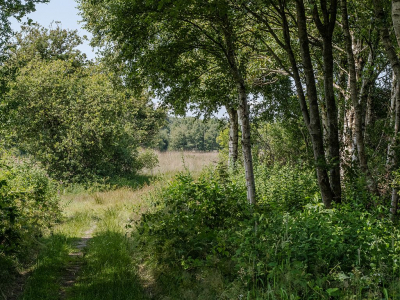 <i class='fa fa-user'></i>&nbsp;Tim Oord&nbsp;|  Wandelpad&nbsp; <i class='fa fa-eye'>&nbsp;81</i> &nbsp; <i class='fa fa-comment-o'>&nbsp;2</i>