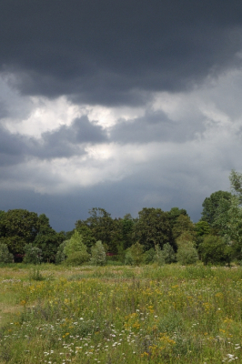 <i class='fa fa-user'></i>&nbsp;Rob Leopold&nbsp;|  Naderende bui&nbsp; <i class='fa fa-eye'>&nbsp;68</i> &nbsp; <i class='fa fa-comment-o'>&nbsp;3</i>