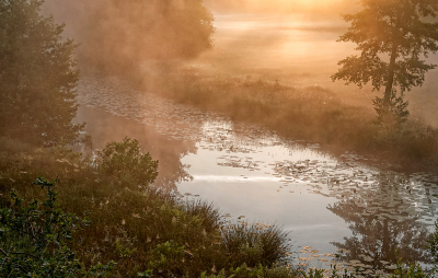 <i class='fa fa-user'></i>&nbsp;nelappelmelk&nbsp;|  Vroeg morgenlicht&nbsp; <i class='fa fa-eye'>&nbsp;82</i> &nbsp;<i class='fa fa-thumbs-up'>&nbsp;5</i> &nbsp; <i class='fa fa-comment-o'>&nbsp;5</i>