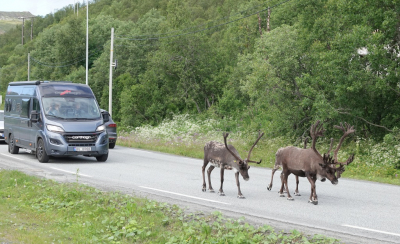 <i class='fa fa-user'></i>&nbsp;ko katsman&nbsp;|  Rendier&nbsp; <i class='fa fa-eye'>&nbsp;116</i> &nbsp;<i class='fa fa-thumbs-up'>&nbsp;2</i> &nbsp; <i class='fa fa-comment-o'>&nbsp;4</i>