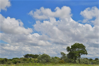 <i class='fa fa-user'></i>&nbsp;hesterb&nbsp;|  Zeeweg&nbsp; <i class='fa fa-eye'>&nbsp;78</i> &nbsp;<i class='fa fa-thumbs-up'>&nbsp;1</i> &nbsp; <i class='fa fa-comment-o'>&nbsp;0</i>