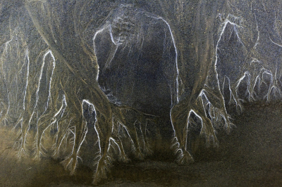 <i class='fa fa-user'></i>&nbsp;liesbeth van vliet&nbsp;|  Zandstructuur&nbsp; <i class='fa fa-eye'>&nbsp;141</i> &nbsp;<i class='fa fa-thumbs-up'>&nbsp;8</i> &nbsp; <i class='fa fa-comment-o'>&nbsp;6</i>