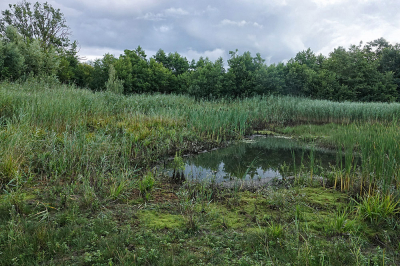 <i class='fa fa-user'></i>&nbsp;nelappelmelk&nbsp;|  Droogte in het Beekbergerwoud&nbsp; <i class='fa fa-eye'>&nbsp;108</i> &nbsp; <i class='fa fa-comment-o'>&nbsp;5</i>