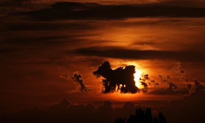 <i class='fa fa-user'></i>&nbsp;nelappelmelk&nbsp;|  Hond met kluif&nbsp; <i class='fa fa-eye'>&nbsp;81</i> &nbsp;<i class='fa fa-thumbs-up'>&nbsp;5</i> &nbsp; <i class='fa fa-comment-o'>&nbsp;9</i>