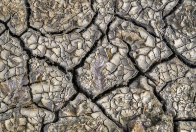 <i class='fa fa-user'></i>&nbsp;liesbeth van vliet&nbsp;|  Droogte&nbsp; <i class='fa fa-eye'>&nbsp;101</i> &nbsp;<i class='fa fa-thumbs-up'>&nbsp;6</i> &nbsp; <i class='fa fa-comment-o'>&nbsp;10</i>