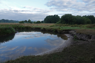 <i class='fa fa-user'></i>&nbsp;nelappelmelk&nbsp;|  Drentse AA&nbsp; <i class='fa fa-eye'>&nbsp;91</i> &nbsp;<i class='fa fa-thumbs-up'>&nbsp;1</i> &nbsp; <i class='fa fa-comment-o'>&nbsp;7</i>