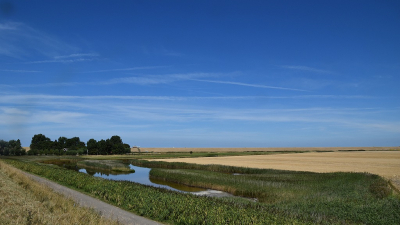 <i class='fa fa-user'></i>&nbsp;kooyammers&nbsp;|  Oosterscheldedijk Wissenkerke&nbsp; <i class='fa fa-eye'>&nbsp;66</i> &nbsp;<i class='fa fa-thumbs-up'>&nbsp;2</i> &nbsp; <i class='fa fa-comment-o'>&nbsp;2</i>