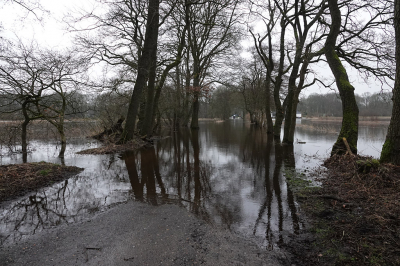 <i class='fa fa-user'></i>&nbsp;nelappelmelk&nbsp;|  Overvloed aan water&nbsp; <i class='fa fa-eye'>&nbsp;101</i> &nbsp; <i class='fa fa-comment-o'>&nbsp;1</i>