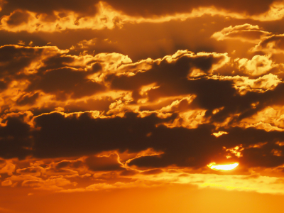 <i class='fa fa-user'></i>&nbsp;Truus Aletta Maan&nbsp;|  Zonsondergang&nbsp; <i class='fa fa-eye'>&nbsp;47</i> &nbsp;<i class='fa fa-thumbs-up'>&nbsp;2</i> &nbsp; <i class='fa fa-comment-o'>&nbsp;3</i>