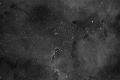 <i class='fa fa-user'></i>&nbsp;Adri Gr Nuelend&nbsp;|  Olifantenslurfnevel&nbsp; <i class='fa fa-eye'>&nbsp;130</i> &nbsp;<i class='fa fa-thumbs-up'>&nbsp;13</i> &nbsp; <i class='fa fa-comment-o'>&nbsp;11</i>