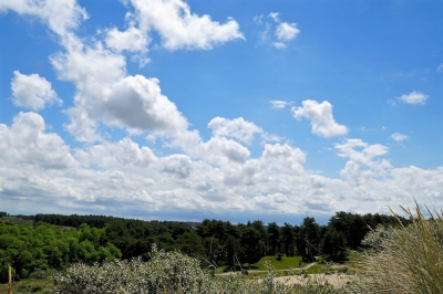 <i class='fa fa-user'></i>&nbsp;hesterb&nbsp;|  Duinen en wolkenfront&nbsp; <i class='fa fa-eye'>&nbsp;56</i> &nbsp; <i class='fa fa-comment-o'>&nbsp;1</i>