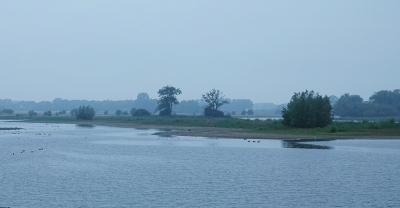 Vanmorgen was ik vroeg wakker en zag dat het wat nevelig was en ben rond zes uur naar de IJssel gefietst (10 min) om wat foto's te maken op de Vreugderijkerwaard die nu voor de helft droog staat.