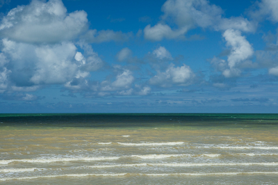 <i class='fa fa-user'></i>&nbsp;susan meijnders&nbsp;|  Groen, groener, groenst&nbsp; <i class='fa fa-eye'>&nbsp;75</i> &nbsp;<i class='fa fa-thumbs-up'>&nbsp;1</i> &nbsp; <i class='fa fa-comment-o'>&nbsp;3</i>