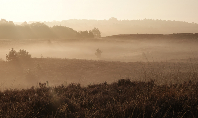 <i class='fa fa-user'></i>&nbsp;nelappelmelk&nbsp;|  Vroege morgen&nbsp; <i class='fa fa-eye'>&nbsp;74</i> &nbsp;<i class='fa fa-thumbs-up'>&nbsp;3</i> &nbsp; <i class='fa fa-comment-o'>&nbsp;3</i>