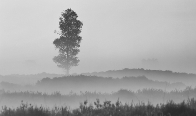 <i class='fa fa-user'></i>&nbsp;Pieter  LJ&nbsp;|  Vroege morgen&nbsp; <i class='fa fa-eye'>&nbsp;110</i> &nbsp;<i class='fa fa-thumbs-up'>&nbsp;10</i> &nbsp; <i class='fa fa-comment-o'>&nbsp;10</i>