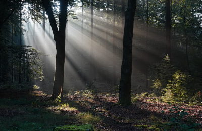 <i class='fa fa-user'></i>&nbsp;nelappelmelk&nbsp;|  Zonneharpen&nbsp; <i class='fa fa-eye'>&nbsp;97</i> &nbsp;<i class='fa fa-thumbs-up'>&nbsp;10</i> &nbsp; <i class='fa fa-comment-o'>&nbsp;8</i>