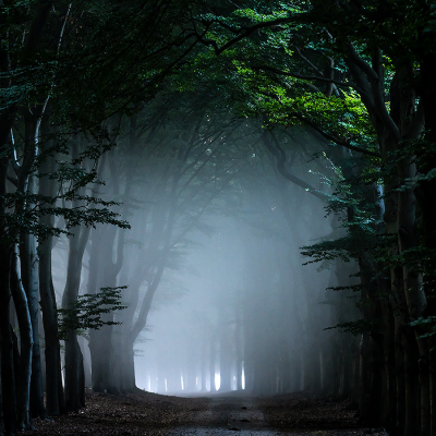 <i class='fa fa-user'></i>&nbsp;Jacob-Carl Pauw&nbsp;|  Beukenlaan&nbsp; <i class='fa fa-eye'>&nbsp;123</i> &nbsp;<i class='fa fa-thumbs-up'>&nbsp;16</i> &nbsp; <i class='fa fa-comment-o'>&nbsp;9</i>