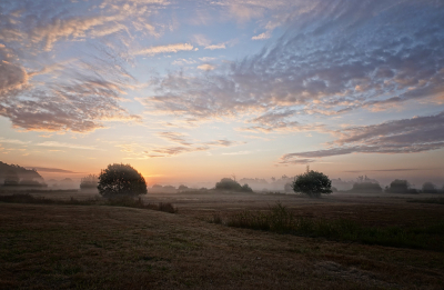 <i class='fa fa-user'></i>&nbsp;nelappelmelk&nbsp;|  Feestje&nbsp; <i class='fa fa-eye'>&nbsp;102</i> &nbsp;<i class='fa fa-thumbs-up'>&nbsp;10</i> &nbsp; <i class='fa fa-comment-o'>&nbsp;8</i>