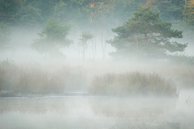 <i class='fa fa-user'></i>&nbsp;nelappelmelk&nbsp;|  Feestje 2&nbsp; <i class='fa fa-eye'>&nbsp;127</i> &nbsp;<i class='fa fa-thumbs-up'>&nbsp;12</i> &nbsp; <i class='fa fa-comment-o'>&nbsp;11</i>