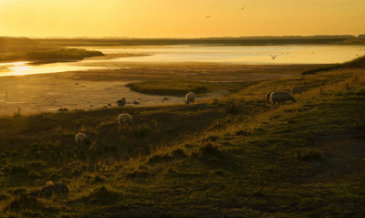 <i class='fa fa-user'></i>&nbsp;Nel R&nbsp;|  Tegenlicht&nbsp; <i class='fa fa-eye'>&nbsp;101</i> &nbsp;<i class='fa fa-thumbs-up'>&nbsp;4</i> &nbsp; <i class='fa fa-comment-o'>&nbsp;5</i>