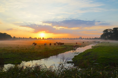 <i class='fa fa-user'></i>&nbsp;hesterb&nbsp;|  Morgenstond&nbsp; <i class='fa fa-eye'>&nbsp;144</i> &nbsp;<i class='fa fa-thumbs-up'>&nbsp;9</i> &nbsp; <i class='fa fa-comment-o'>&nbsp;8</i>