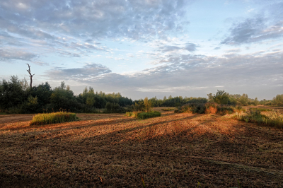 <i class='fa fa-user'></i>&nbsp;nelappelmelk&nbsp;|  Droog&nbsp; <i class='fa fa-eye'>&nbsp;105</i> &nbsp; <i class='fa fa-comment-o'>&nbsp;4</i>