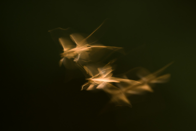 <i class='fa fa-user'></i>&nbsp;Truus Aletta Maan&nbsp;|  Dansmug sp.&nbsp; <i class='fa fa-eye'>&nbsp;100</i> &nbsp;<i class='fa fa-thumbs-up'>&nbsp;11</i> &nbsp; <i class='fa fa-comment-o'>&nbsp;12</i>