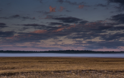 <i class='fa fa-user'></i>&nbsp;David&nbsp;|  Ginkelse heide&nbsp; <i class='fa fa-eye'>&nbsp;66</i> &nbsp;<i class='fa fa-thumbs-up'>&nbsp;3</i> &nbsp; <i class='fa fa-comment-o'>&nbsp;3</i>