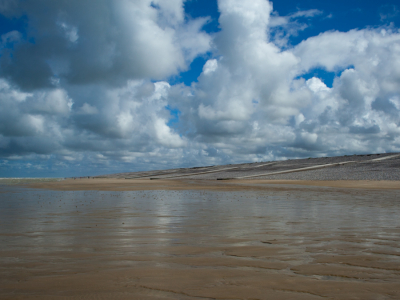 <i class='fa fa-user'></i>&nbsp;susan meijnders&nbsp;|  Zomerdag&nbsp; <i class='fa fa-eye'>&nbsp;86</i> &nbsp; <i class='fa fa-comment-o'>&nbsp;7</i>