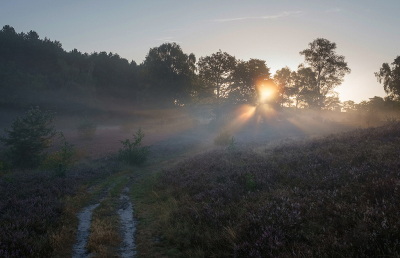 <i class='fa fa-user'></i>&nbsp;Jurgen Maassen&nbsp;|  Het pad naar het licht&nbsp; <i class='fa fa-eye'>&nbsp;90</i> &nbsp;<i class='fa fa-thumbs-up'>&nbsp;3</i> &nbsp; <i class='fa fa-comment-o'>&nbsp;6</i>