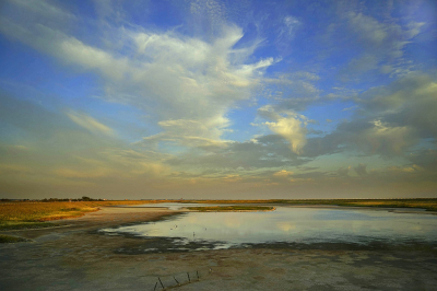 <i class='fa fa-user'></i>&nbsp;Nel R&nbsp;|  Droogte&nbsp; <i class='fa fa-eye'>&nbsp;115</i> &nbsp;<i class='fa fa-thumbs-up'>&nbsp;10</i> &nbsp; <i class='fa fa-comment-o'>&nbsp;8</i>