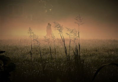 <i class='fa fa-user'></i>&nbsp;hesterb&nbsp;|  Gewoon Struisgras&nbsp; <i class='fa fa-eye'>&nbsp;152</i> &nbsp; <i class='fa fa-comment-o'>&nbsp;11</i>