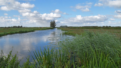 <i class='fa fa-user'></i>&nbsp;kooyammers&nbsp;|  Wetering Nespolder&nbsp; <i class='fa fa-eye'>&nbsp;38</i> &nbsp;<i class='fa fa-thumbs-up'>&nbsp;1</i> &nbsp; <i class='fa fa-comment-o'>&nbsp;2</i>