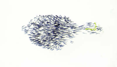 <i class='fa fa-user'></i>&nbsp;liesbeth van vliet&nbsp;|  Zwarte Dwergmeerval&nbsp; <i class='fa fa-eye'>&nbsp;152</i> &nbsp;<i class='fa fa-thumbs-up'>&nbsp;8</i> &nbsp; <i class='fa fa-comment-o'>&nbsp;7</i>