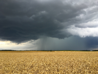 <i class='fa fa-user'></i>&nbsp;Robert Rodenburg&nbsp;|  Regenbui&nbsp; <i class='fa fa-eye'>&nbsp;119</i> &nbsp;<i class='fa fa-thumbs-up'>&nbsp;9</i> &nbsp; <i class='fa fa-comment-o'>&nbsp;15</i>