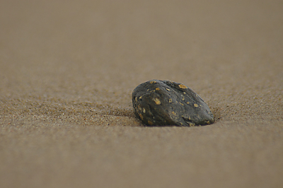 <i class='fa fa-user'></i> M. ten Wolde | Steen op het strand  <i class='fa fa-eye'> 120</i>   <i class='fa fa-comment-o'> 4</i>