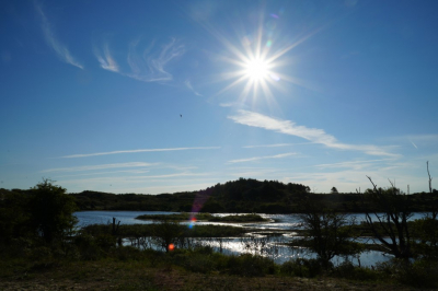 <i class='fa fa-user'></i>&nbsp;hesterb&nbsp;|  Vogelmeer&nbsp; <i class='fa fa-eye'>&nbsp;69</i> &nbsp; <i class='fa fa-comment-o'>&nbsp;0</i>