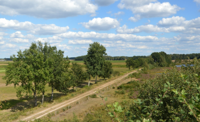 <i class='fa fa-user'></i>&nbsp;B.M.Schouten-Ruis&nbsp;|  Takkenhoogte in het Reestdal&nbsp; <i class='fa fa-eye'>&nbsp;59</i> &nbsp; <i class='fa fa-comment-o'>&nbsp;1</i>